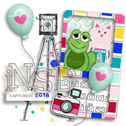 2018iNSD.png