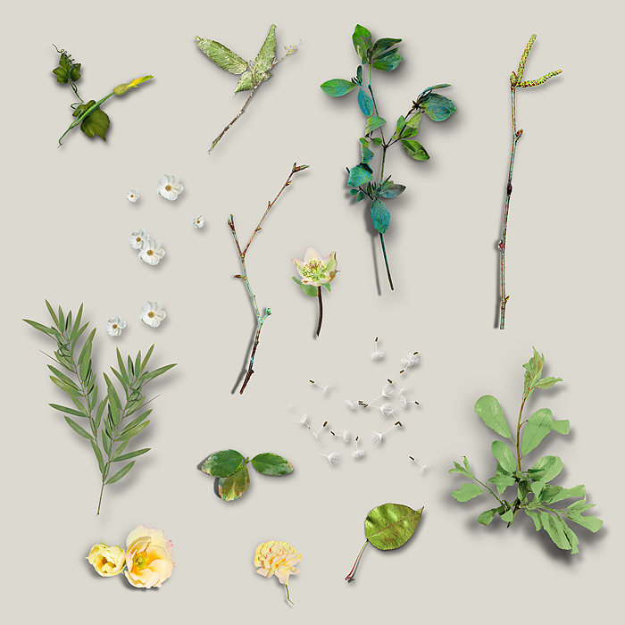 21 - botanicals.jpg
