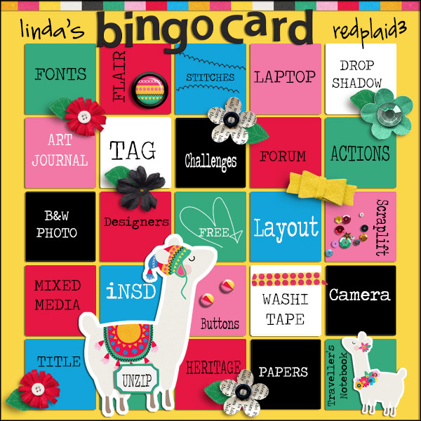 Bingo-5x5-transparent-insd-2020-web.jpg