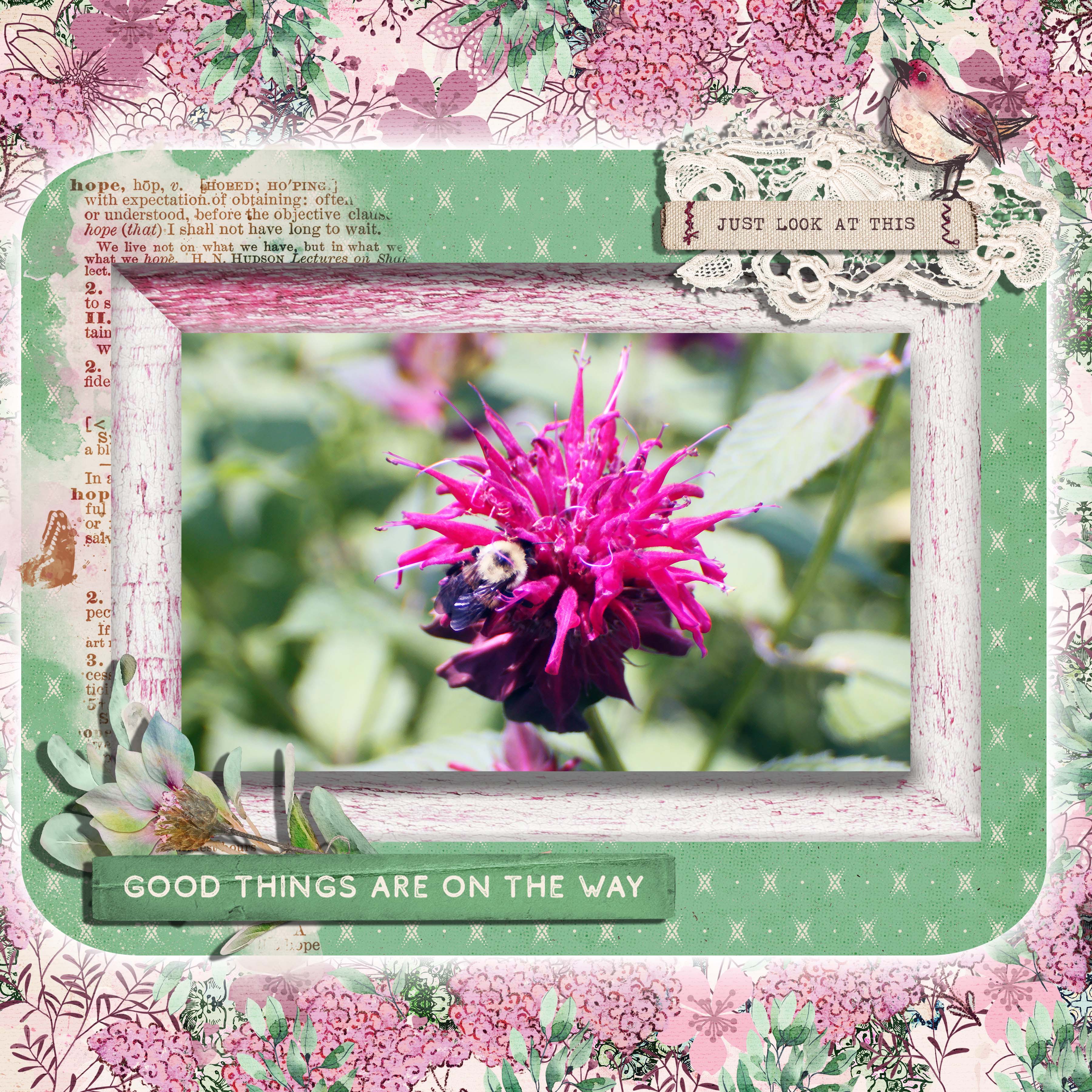 Bumblebee on Bee Balm.jpg