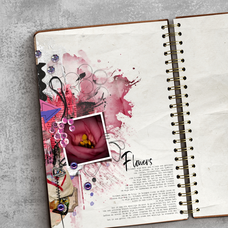 COLORPLAY02-2023-PALVINKA_resize.jpg
