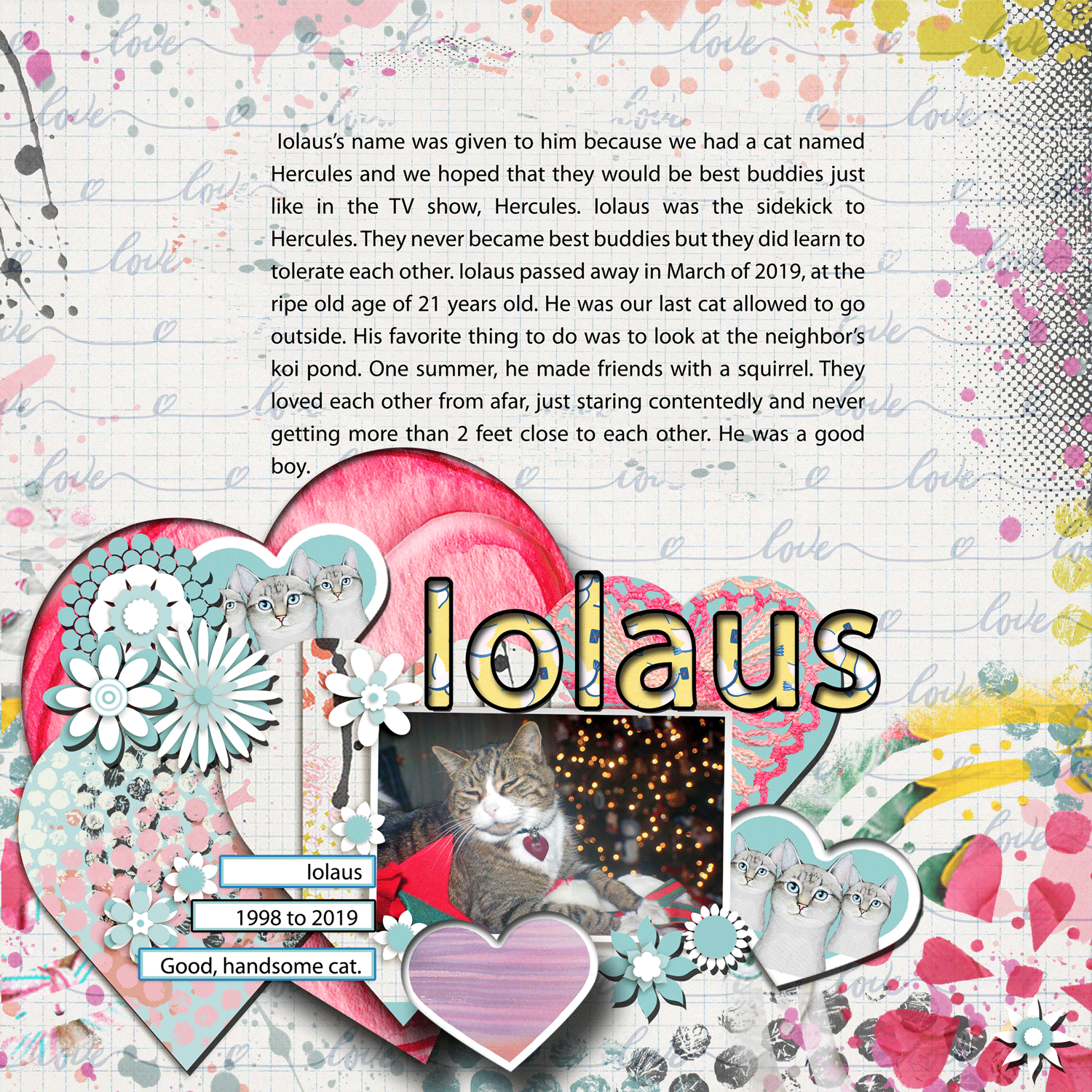 February-Template-Challenge-Fiddlesticks-Freebie-Iolaus-our-good-cat-take-3.gif