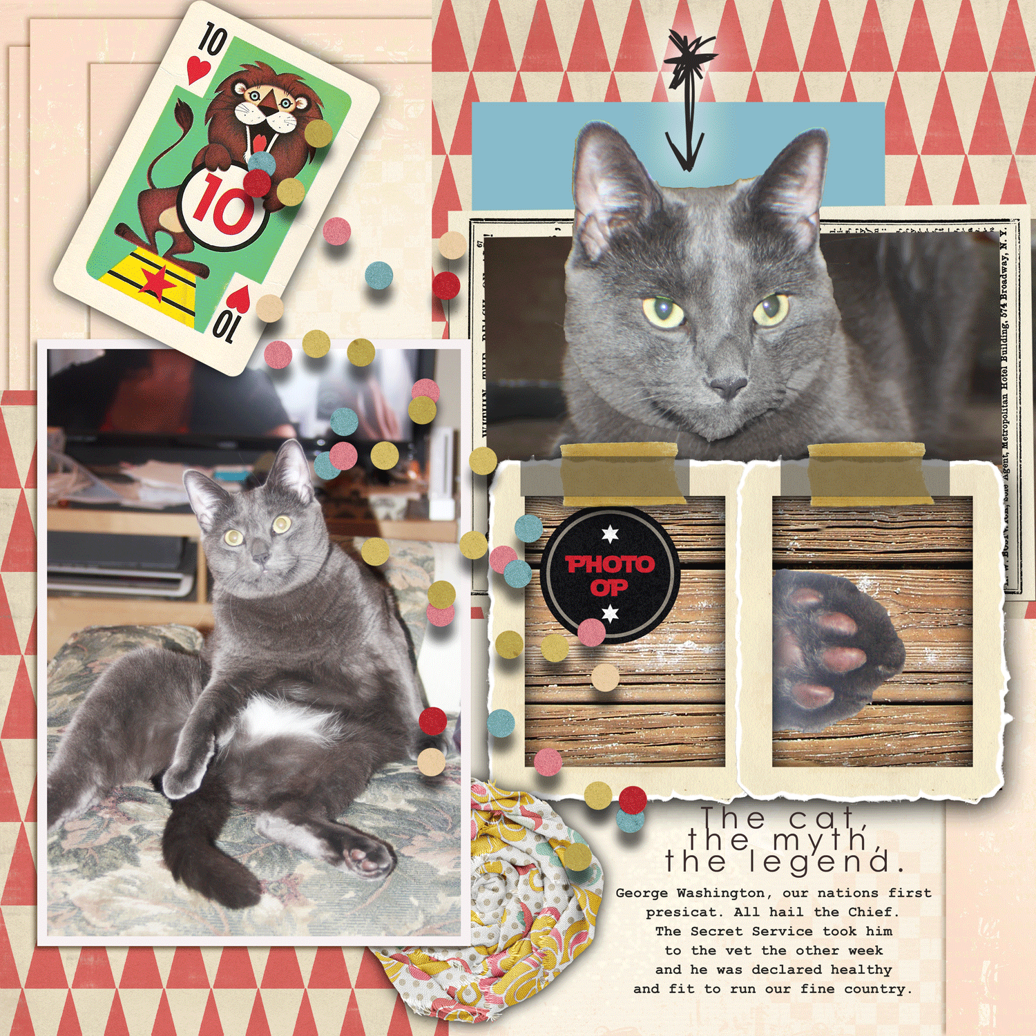 George-Washington-Presicat.gif