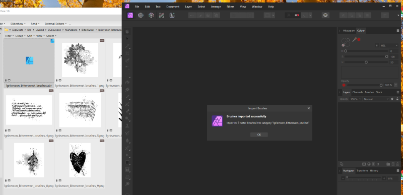 InstallBrush2.png