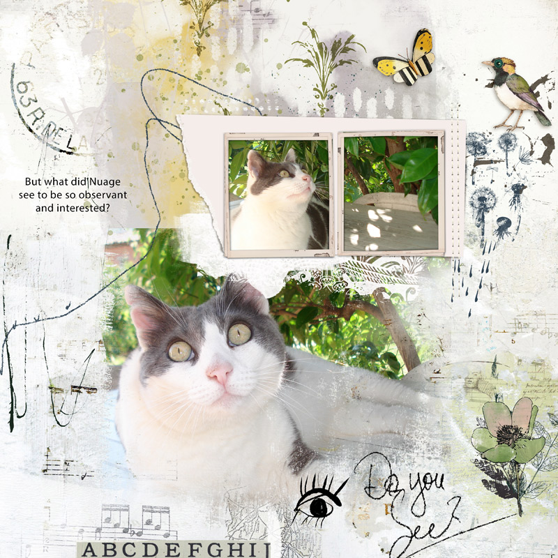 Lyllipad_Challenge-HMV--copy.jpg