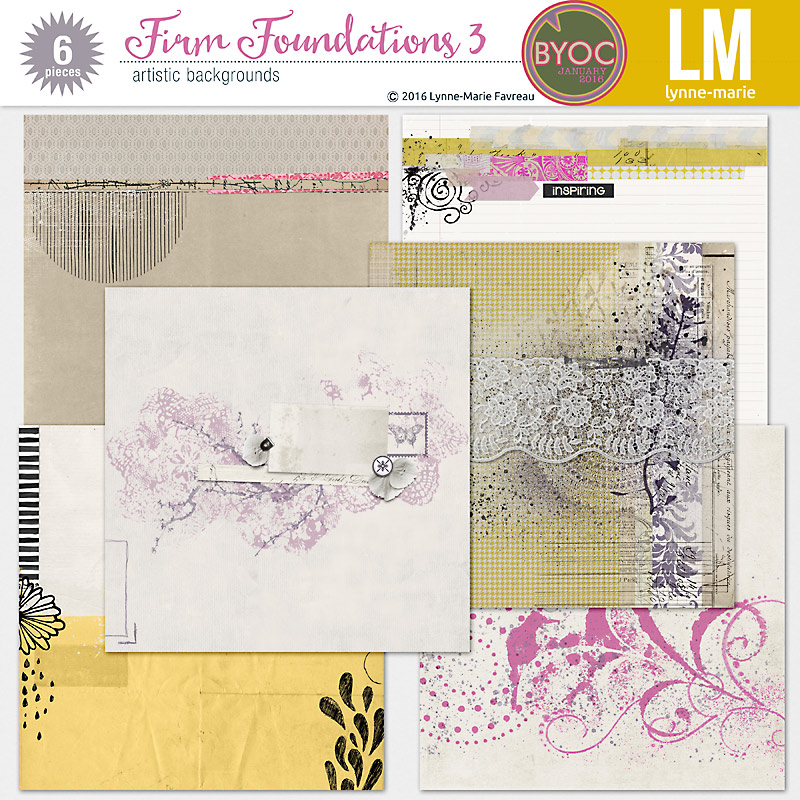 lynnemarie_FirmFoundations03_PV.jpg