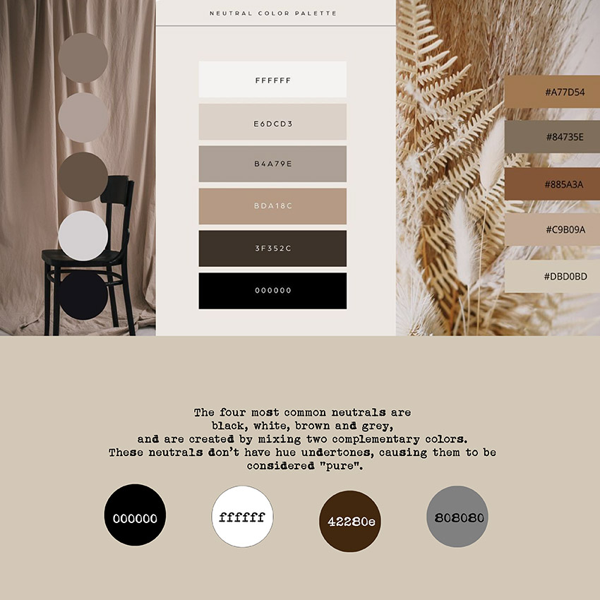 Neutral-colour-palette-850.jpg