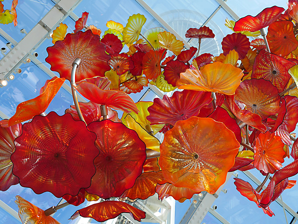 P1050440-copy.jpg