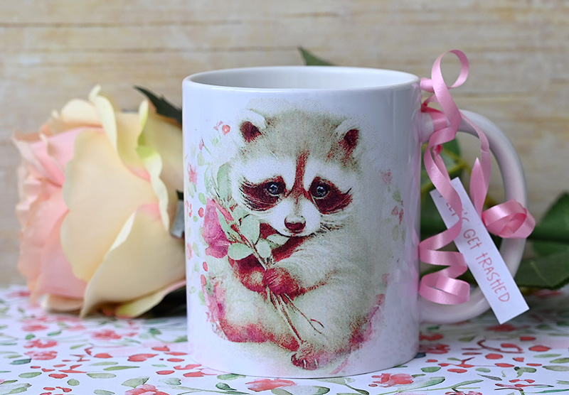 Racoon-2k.jpg