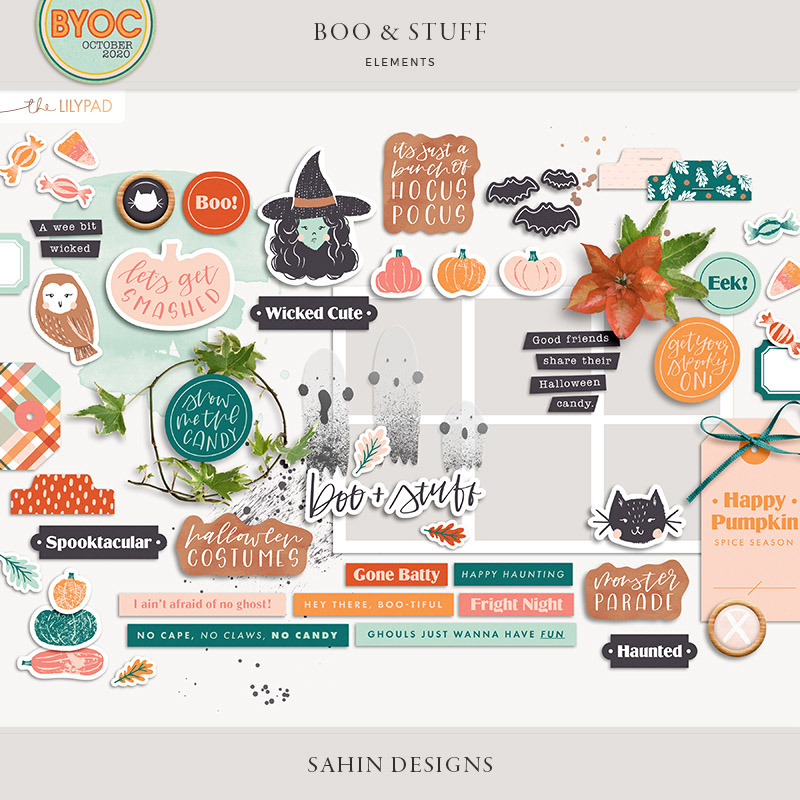 sahindesigns-booandstuff-elements.jpg