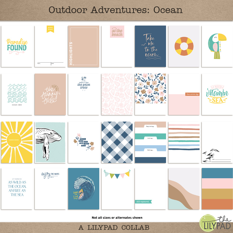 TLP_OA_Ocean-JC.jpg