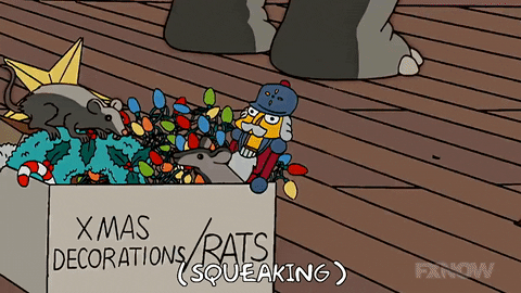 upload_2024-11-8_10-17-58.gif