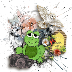 upload_2024-5-3_16-15-42.png