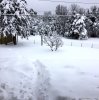 snowfebback25th.JPG