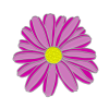 lmjrocko_tlp-xchange_flower 2.png