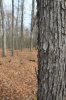 DSC_4939.JPG