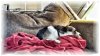 20160620_155944.jpg