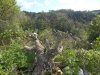 DSCN1146.JPG