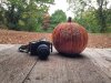 IMG_5312.jpg