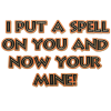 pin 3.png