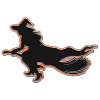 pin 4.png