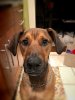 Benson_IrisBlur_1-3-19.jpg