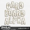 PaulaKesselring_CardboardAlpha1_Preview.jpg