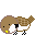 bird.gif