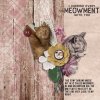 OAWA-Cat-SolPP-MOCday1sm.jpg
