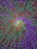 8FFB9547-7503-4D5B-A1AB-CF461BC5EF5C.jpeg