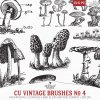 AWA-CU-VintBrushesNo6-pv1.jpg