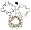 shape frame.png