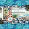 Deep Dive Beach Seashell Collecter.jpg