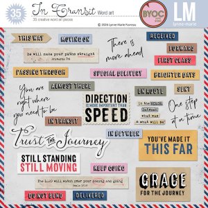 lynnemarie_InTransitPV-wordart.jpg