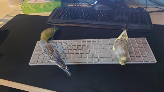 20220902_092712.JPG