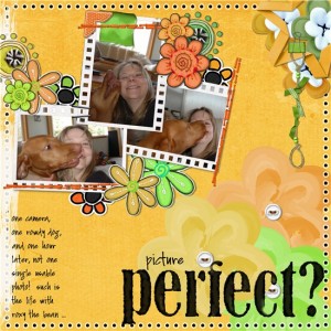 picture perfect