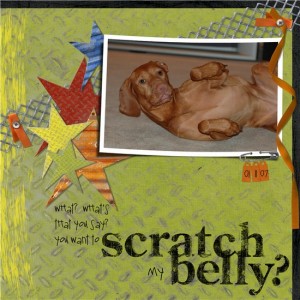 scratch my belly