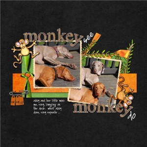 monkey see, monkey do