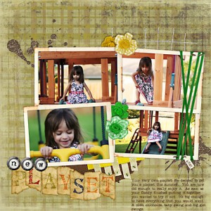 New Playset