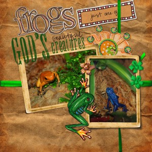 Froggies