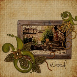 Wood