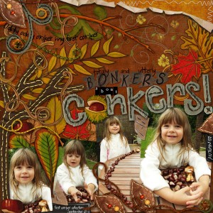 Bonkers about Conkers!