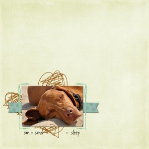 sun sand sleep