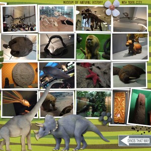 Natural History Museum 2