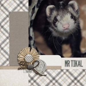 Mr. Tikal