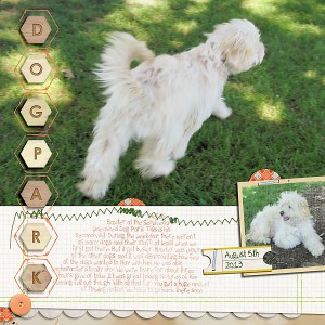Dog Park