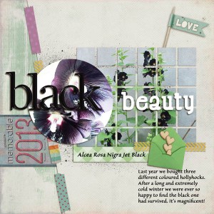 Black Beauty