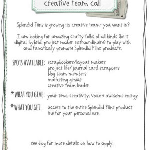 Splendid Fiins Creative Team Call
