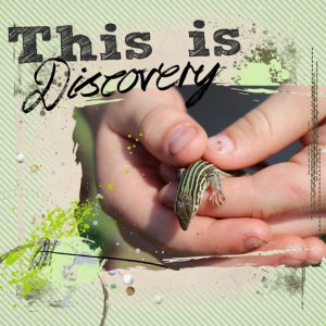 Discovery