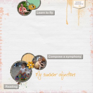 Summer objectives